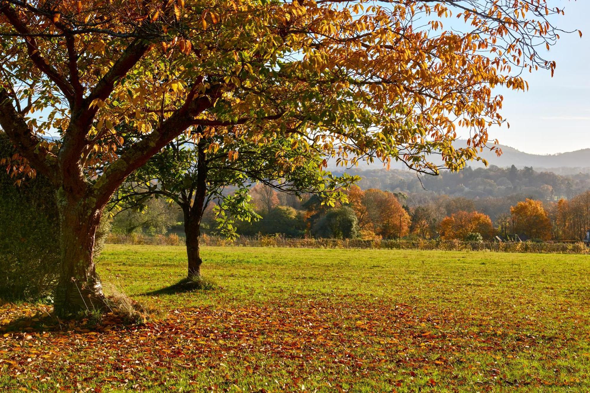 ピーターズフィールドGarden Flat Near Goodwood With Stunning Viewsアパートメント エクステリア 写真