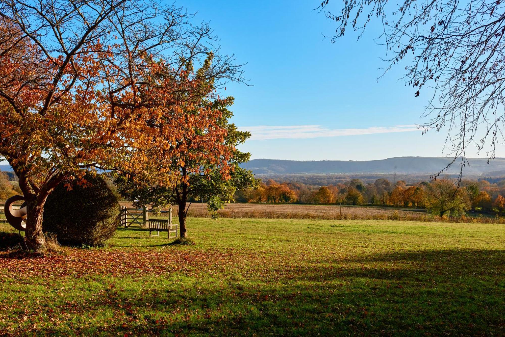 ピーターズフィールドGarden Flat Near Goodwood With Stunning Viewsアパートメント エクステリア 写真